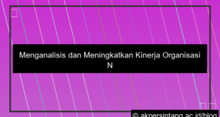 Kinerja Organisasi Nasional