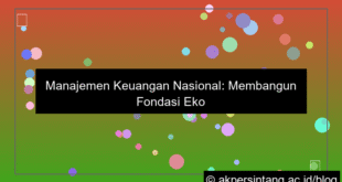ilustrasi Manajemen Keuangan Nasional