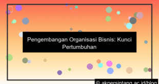 Pengembangan Organisasi Bisnis