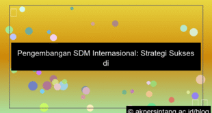 grafik Pengembangan SDM Internasional