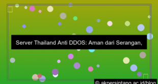server thailand anti ddos