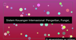 ilustrasi Sistem Keuangan Internasional