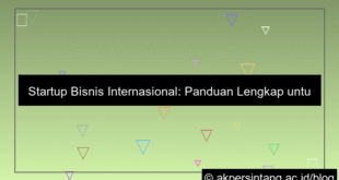 Startup Bisnis Internasional