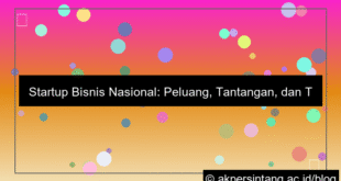 Startup Bisnis Nasional