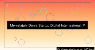 Startup Digital Internasional