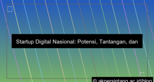 Startup Digital Nasional