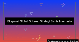 Strategi Bisnis Internasional