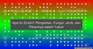 Enzim Adalah