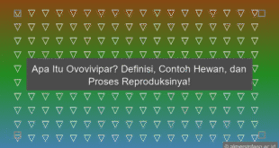 Ovovivipar Adalah