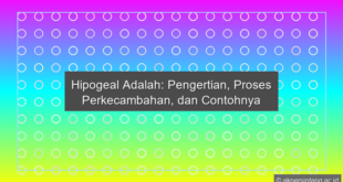 Hipogeal Adalah