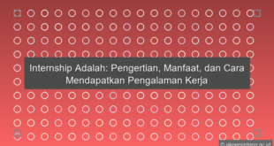 Internship Adalah