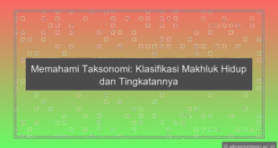Takson