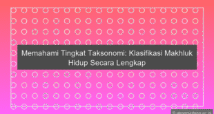 Tingkat Takson