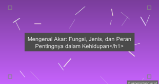 Akar