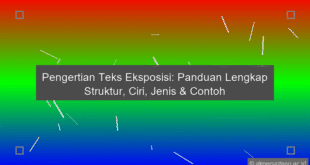 Exposition Text