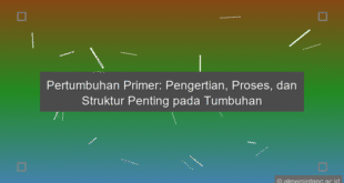 Pertumbuhan Primer