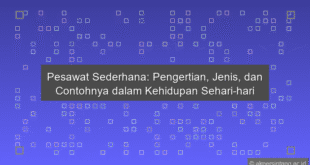 Pesawat Sederhana