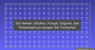 Sel Hewan