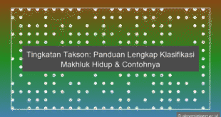 Tingkatan Takson