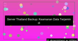 visual server thailand backup