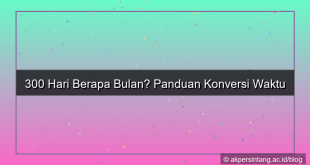desain 300 hari berapa bulan