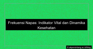 visual Frekuensi napas