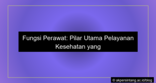 Fungsi perawat