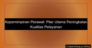 Kepemimpinan perawat