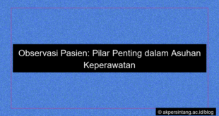 visual Observasi pasien