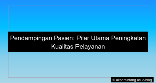 grafik Pendampingan pasien