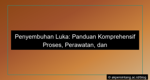Penyembuhan luka