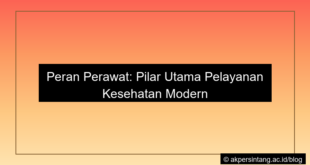 Peran perawat