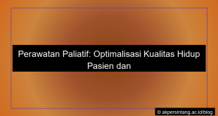 Perawatan paliatif