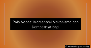 Pola napas