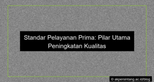 ilustrasi Standar pelayanan