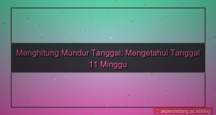 tampilan 11 minggu yang lalu tanggal berapa
