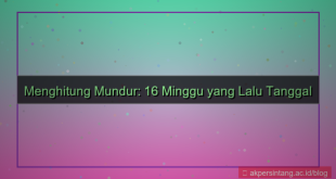 16 minggu yang lalu tanggal berapa
