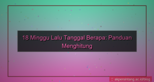 18 minggu yang lalu tanggal berapa