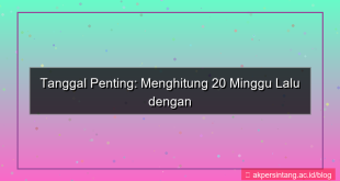 tampilan 20 minggu yang lalu tanggal berapa