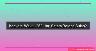 desain 260 hari berapa bulan