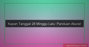 28 minggu yang lalu tanggal berapa
