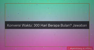 300 hari berapa bulan