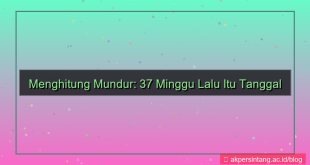37 minggu yang lalu tanggal berapa
