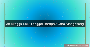 ilustrasi 38 minggu yang lalu tanggal berapa