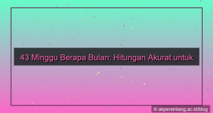 gambar 43 minggu berapa bulan