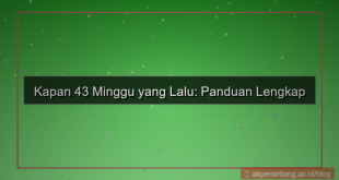 gambar 43 minggu yang lalu tanggal berapa