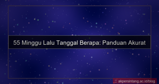 55 minggu yang lalu tanggal berapa