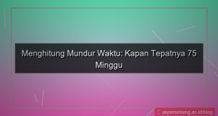 tampilan 75 minggu yang lalu tanggal berapa