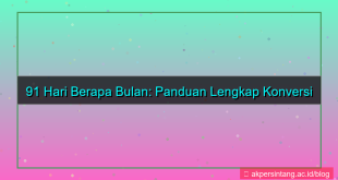 visual 91 hari berapa bulan