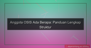 anggota osis ada berapa